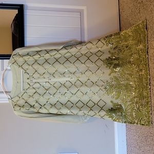 Beautiful sequin embroidered pistachio shirt- medium, Pakistani Indian/Desi wear
